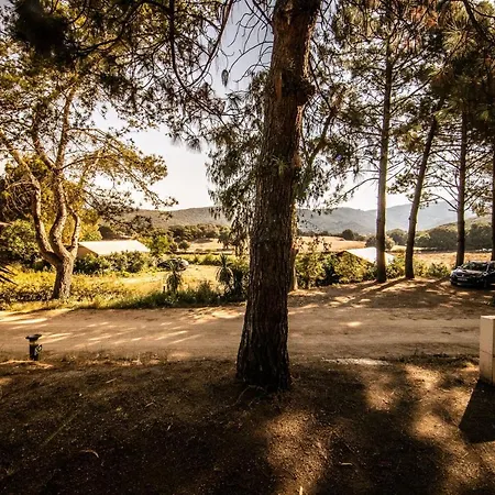 Camping Olva *** Sartene  Exterior photo