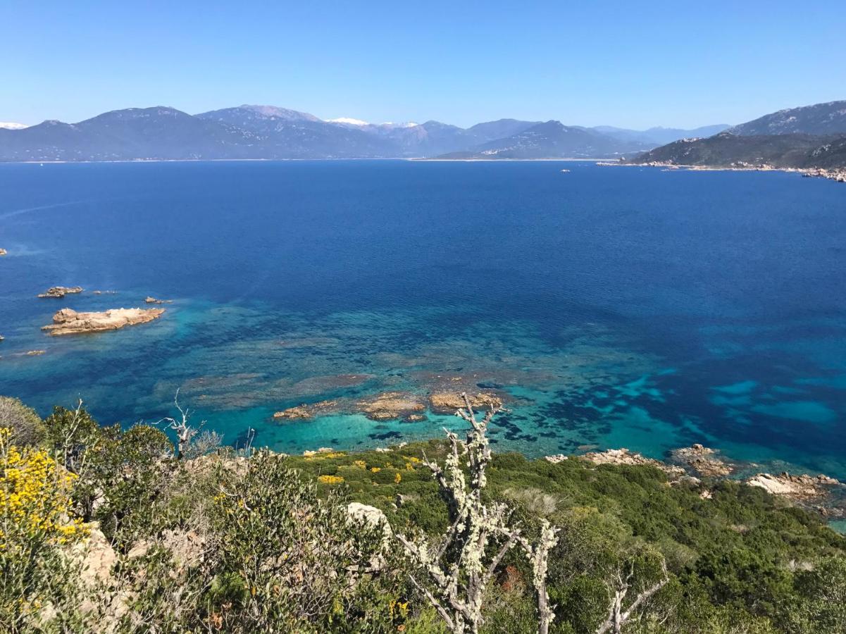 Campsite Olva *** Sartene (Corsica)