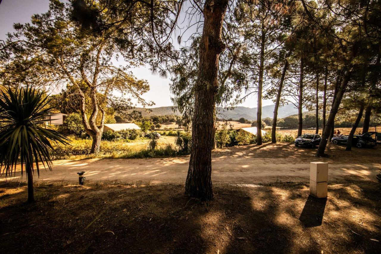 Olva *** Campsite