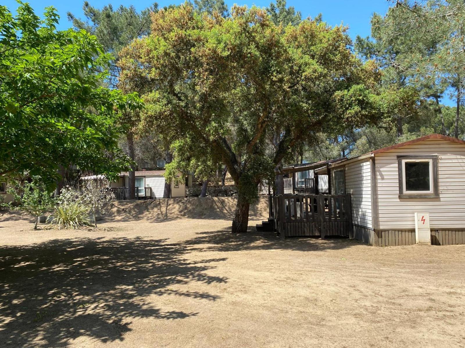 Olva *** Campsite Sartene (Corsica)